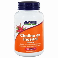 NOW Choline en inositol 500mg 100cap