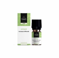 Volatile Hyssop Hysopus officinalis 5ml