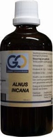 GO Alnus incana 100ml