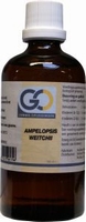 GO Ampelopsis weitchii 100ml