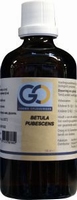 GO Betula pubescens 100ml
