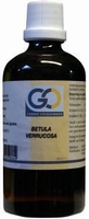 GO Betula verrucosa 100ml