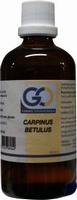 GO Carpinus betulus 100ml