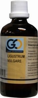 GO Ligustrum vulgare 100ml