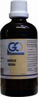 GO Morus nigra 100ml