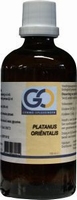 GO Platanus orientalis 100ml