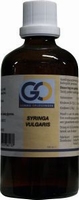 GO Syringa vulgaris 100ml
