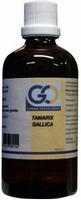 GO Tamarix gallica 100ml
