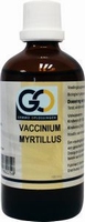 GO Vaccinium myrtillus 100ml