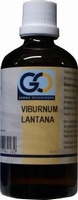 GO Viburnum lantana 100ml