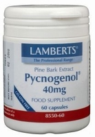 Lamberts Pycnogenol 40 mg 60vc