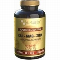 Artelle Cal/mag/zink 250tab