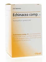 Heel Echinacea compositum H 250tab