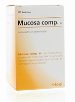 Heel Mucosa compositum H 250tab