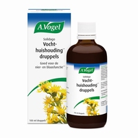 Vogel Solidago Vochthuishouding druppels 100ml