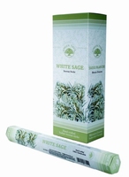 Green Tree Wierook Witte salie white sage 20st