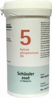 Pfluger Schusslerzout  5 Kalium phosphoricum D6