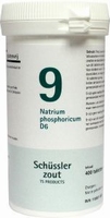 Pfluger Schusslerzout  9 Natrium phosphoricum D6