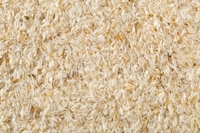 Vlozaad vezels Psyllium husks