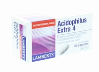 Lamberts Acidophilus Extra 4 60caps