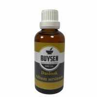Buysen Allium ursinum Daslook 50ml