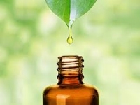 Guajacum D4 druppels 20ml guaiacum