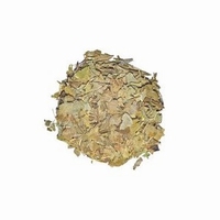 Bosbessenblad gesneden - Vaccinium myrtillus