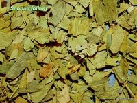 Sennablad gesneden - Cassia angustifolia