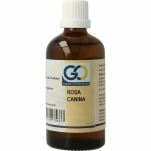 GO Acer campestris 100ml