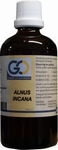 GO Alnus incana 100ml
