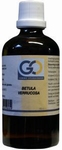 GO Betula verrucosa 100ml