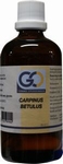 GO Carpinus betulus 100ml