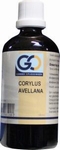 GO Corylus avellana 100ml