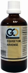 GO Equisetum arvense 100ml