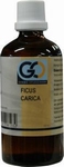 GO Ficus carica 100ml