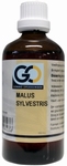 GO Malus sylvestrus 100ml