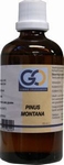 GO Pinus montana 100ml