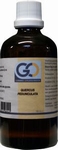 GO Quercus pedunculata 100ml
