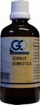 GO Sorbus domestica 100ml