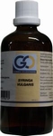 GO Syringa vulgaris 100ml