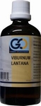 GO Viburnum lantana 100ml