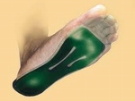 Dekos Gelzolen dames medium 35-37½